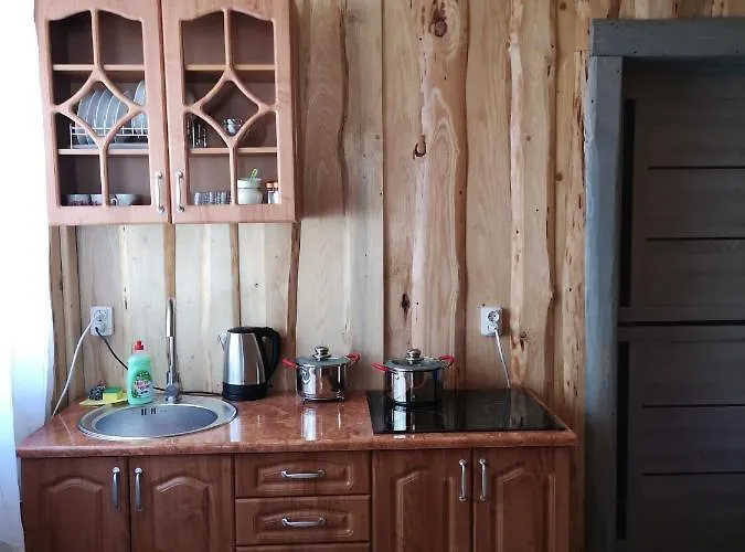 Tatil Evi володар Yaremche