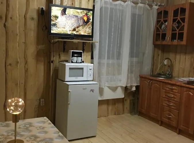 Tatil Evi володар